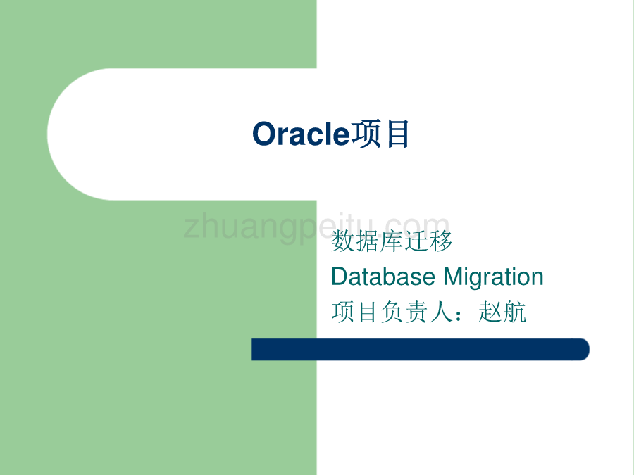 Oracle数据迁移项目_第1页