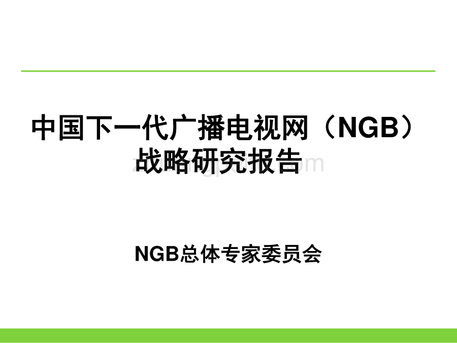 NGB战略研究报告_第1页