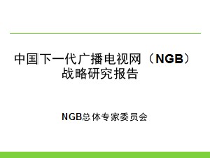 NGB戰(zhàn)略研究報告