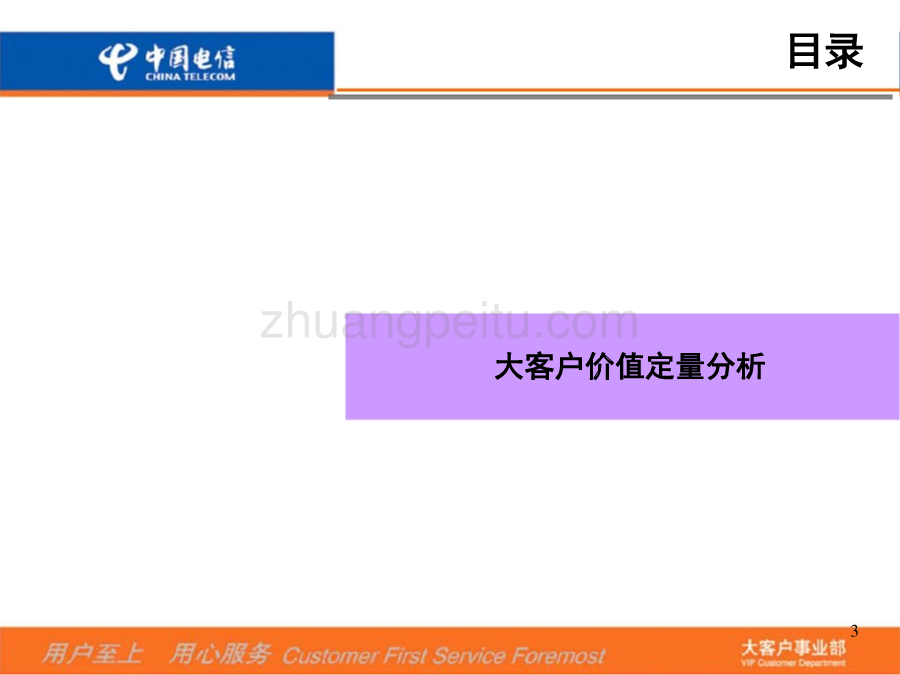 大客户价值评估分析--中国电信_第3页