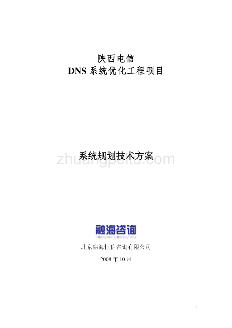 陕西电信DNS系统优化建议书_第1页