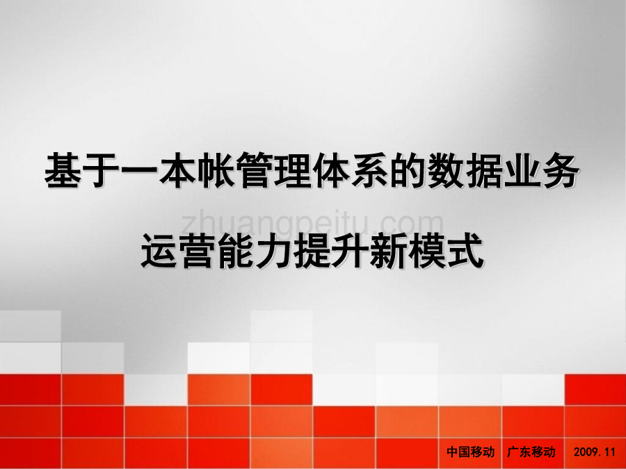 基于一本账管理体系的数据业务运营能力提升新模式_第1页