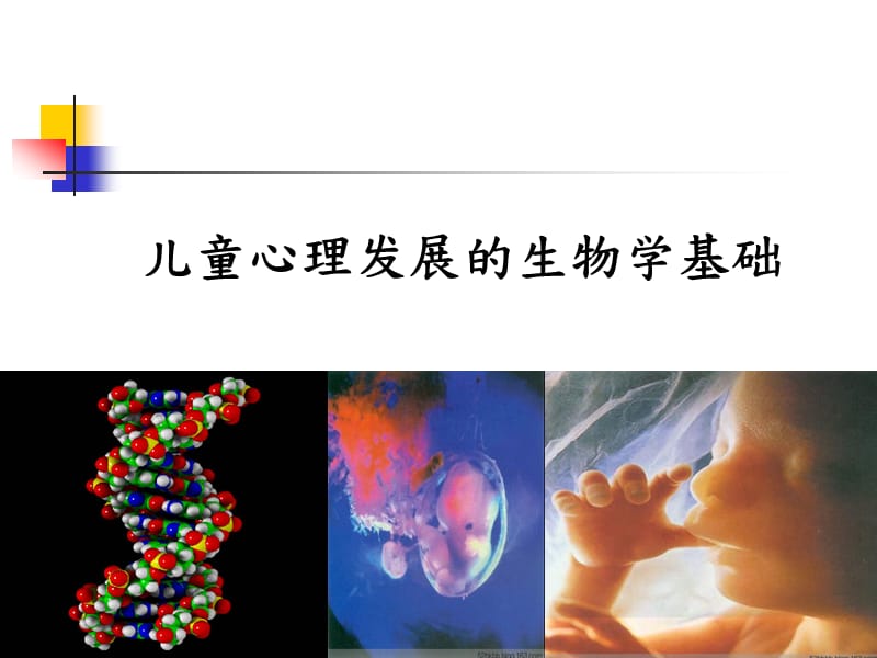 儿童心理发展的生物学基础医学PPT_第1页