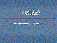 呼吸系统 最新医学PPT