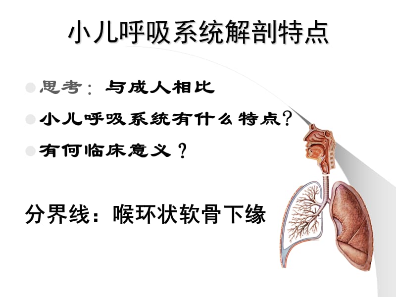 呼吸系统医学PPT_第2页