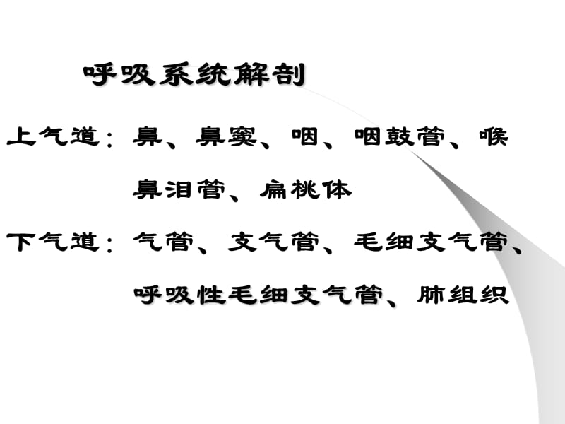 呼吸系统医学PPT_第3页