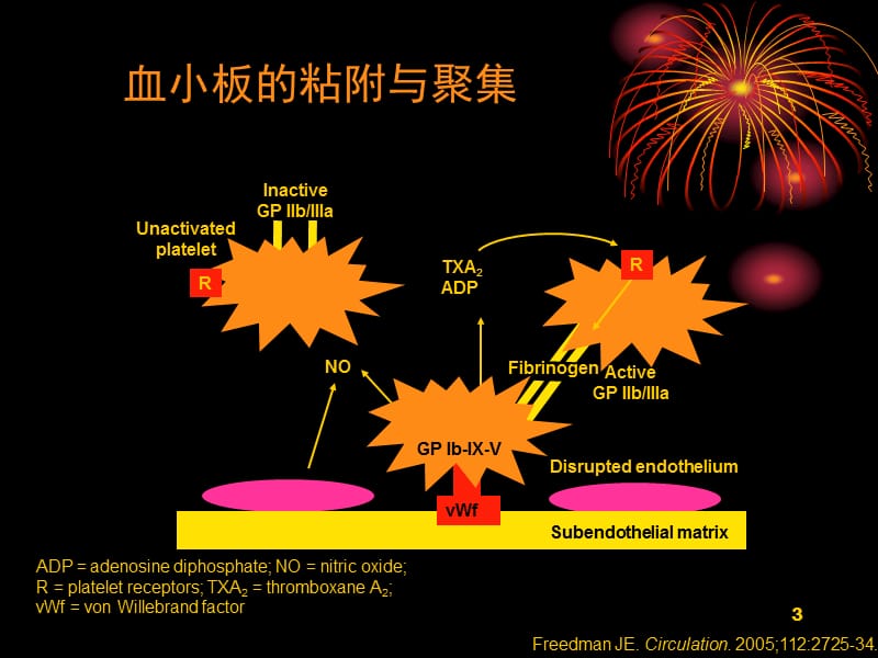 抗血小板治疗药物的合理应用 ppt课件_第3页