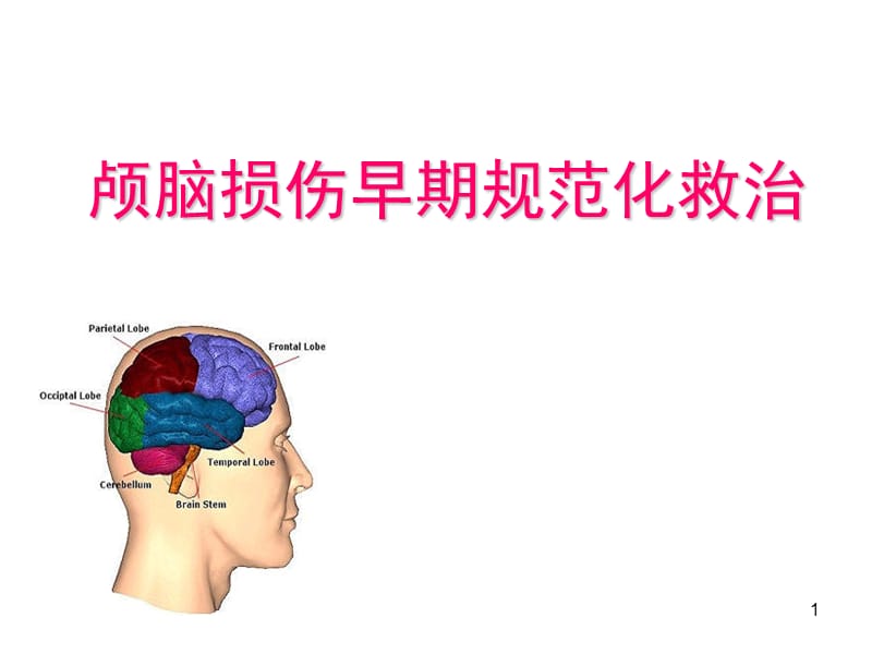 颅脑损伤规范化治疗 ppt课件_第1页