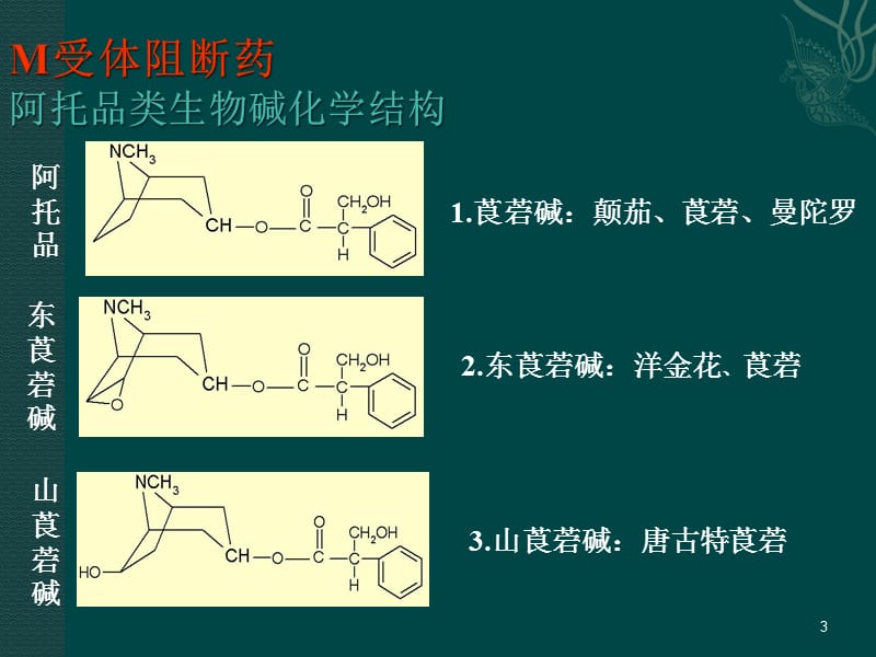 抗胆碱药ppt课件_第3页