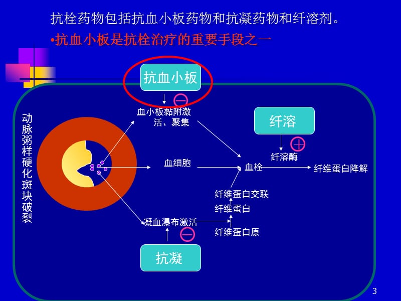 抗血小板药物的临床选择 ppt课件_第3页