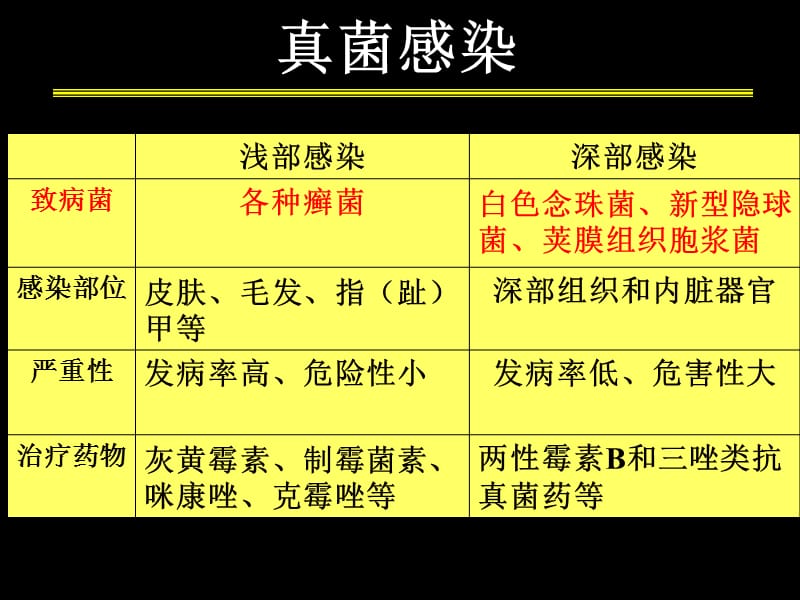 抗结核真菌及病毒药PPT课件_第2页