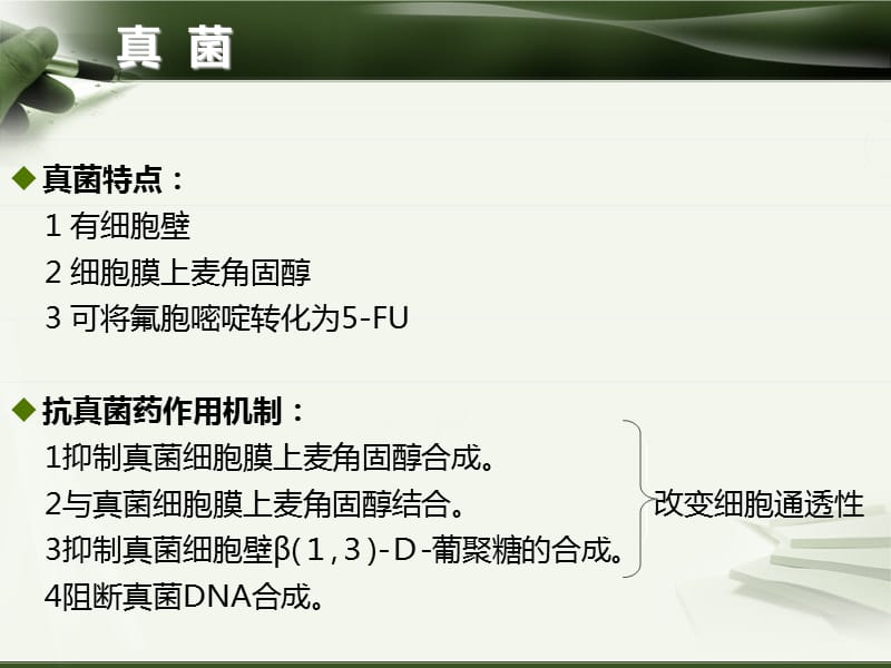 抗真菌药的特点及合理应用 ppt课件_第2页