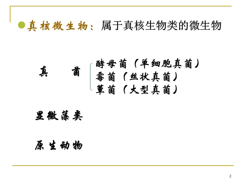 抗真菌抗病毒药PPT课件_第2页