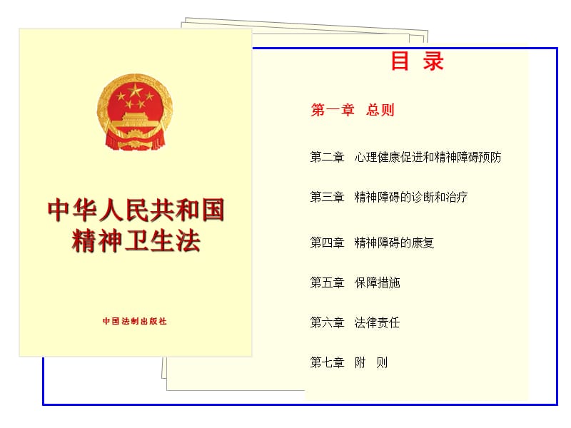 《中华人民共和国精神卫生法》解读_第3页