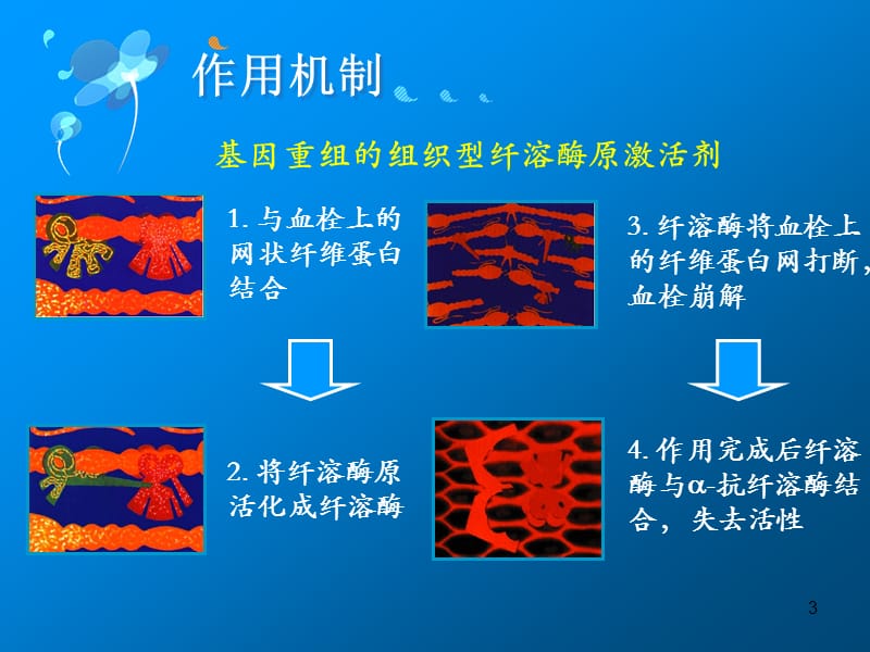 阿替普酶课件PPT_第3页