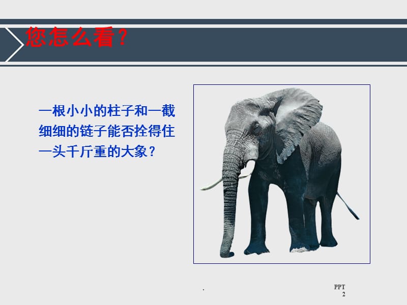 保险营销员建立良好的工作习惯课件PPT_第3页