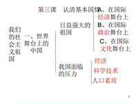 九年級(jí)政治認(rèn)清基本國(guó)情PPT教學(xué)課件