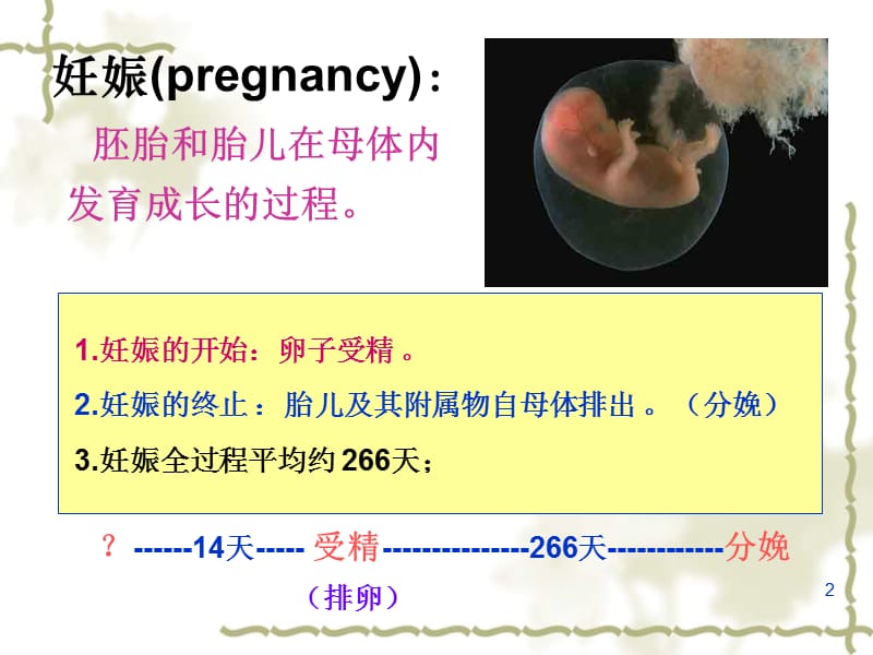 妇产科妊娠生理PPT教学课件_第2页