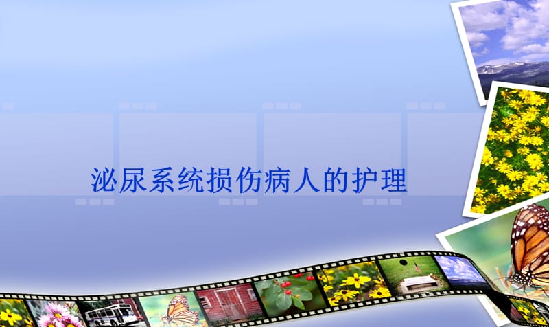 泌尿系统损伤病人的护理 PPT课件_第1页