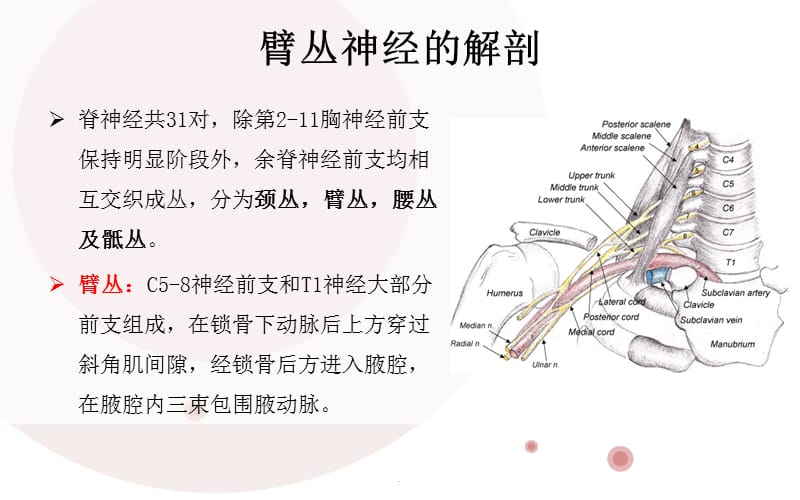 母婴阻断技术培训PPT演示课件_第3页