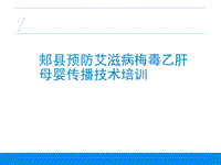 母嬰阻斷技術(shù)培訓(xùn)PPT演示課件