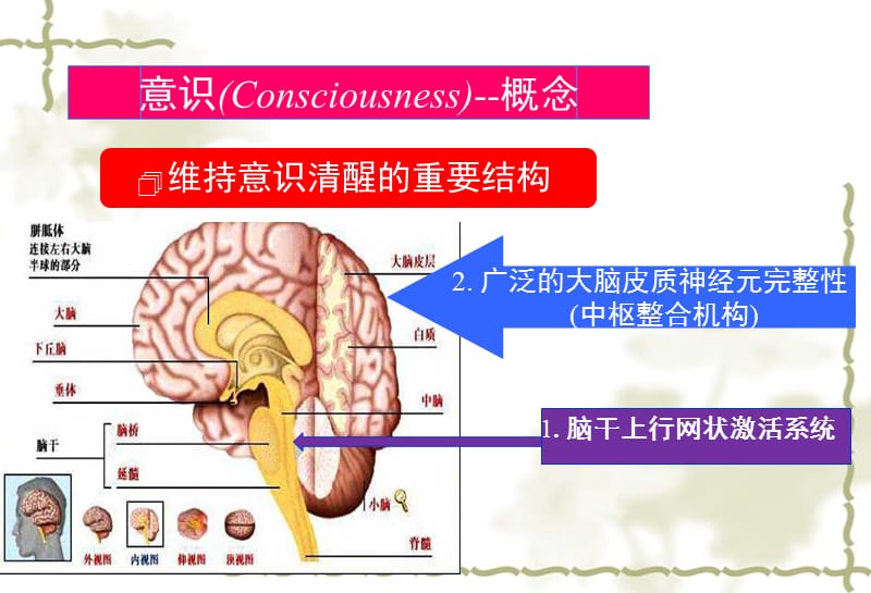 2型糖尿病的基础用药PPT演示课件_第3页