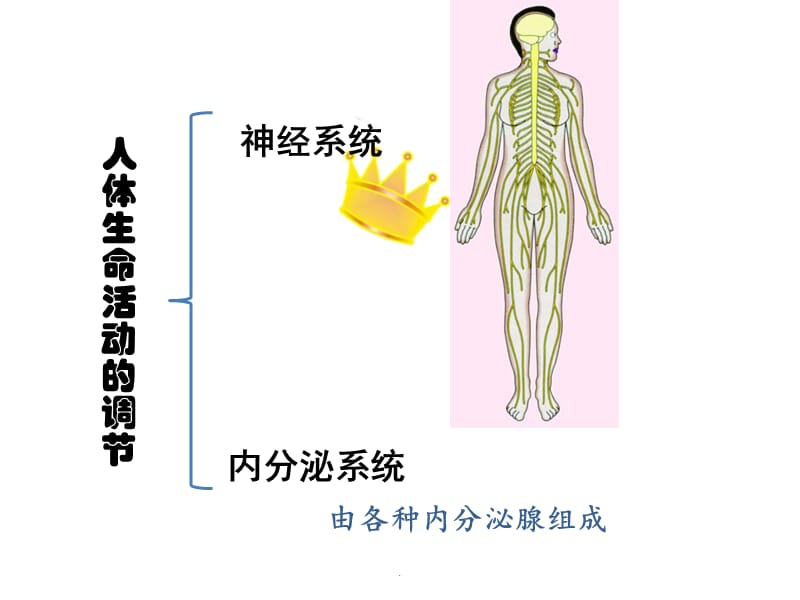 DNA是主要的遗传物质PPT演示课件_第1页