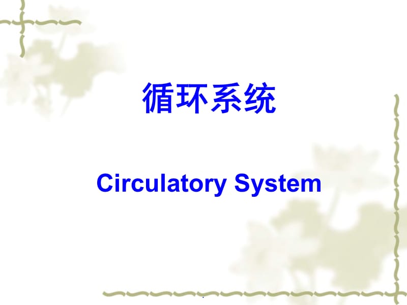 循环系统PPT演示课件_第1页
