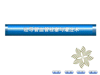 生物技術藥物與疫苗PPT演示課件