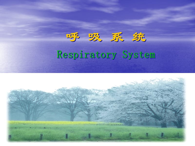 呼吸系统分析PPT演示课件_第1页