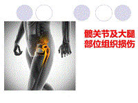 食品衛(wèi)生安全與食物中毒PPT演示課件