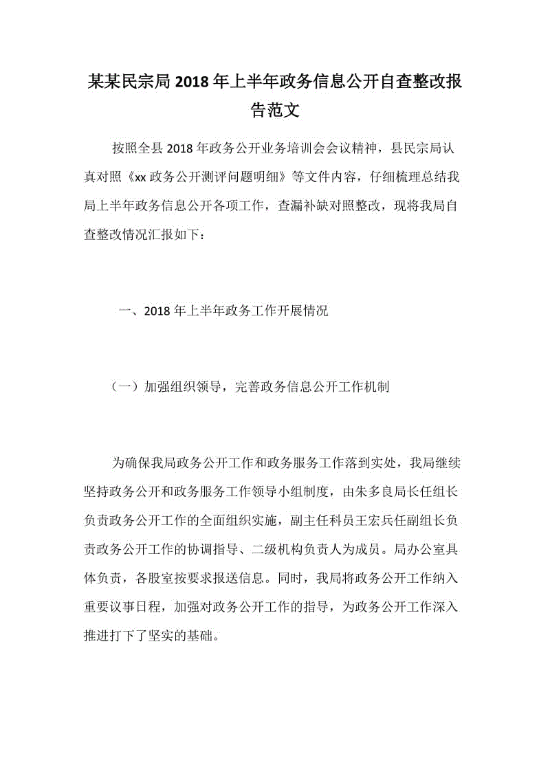 某某民宗局2018年上半年政務(wù)信息公開自查整改報(bào)告范文