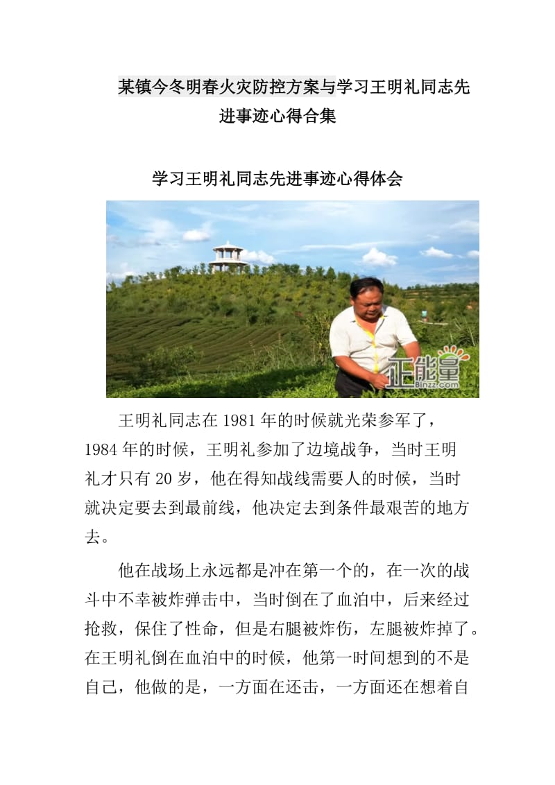 某镇今冬明春火灾防控方案与学习王明礼同志先进事迹心得合集_第1页