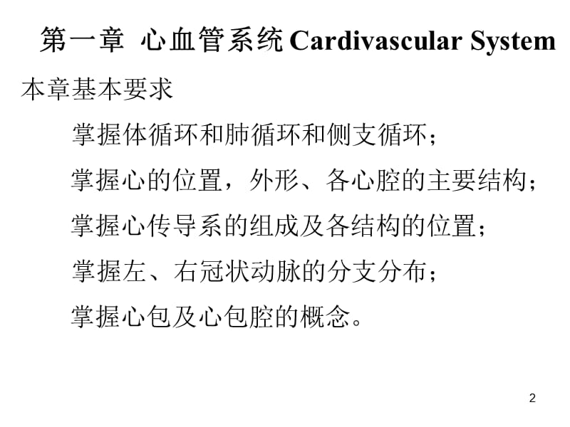 脉管心动脉检验ppt课件_第2页