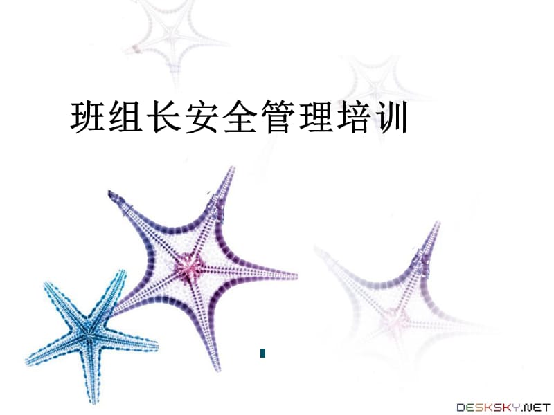 班组长安全管理培训.ppt_第1页