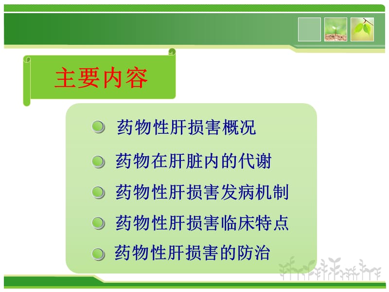 不良反应与肝损伤医学PPT_第2页