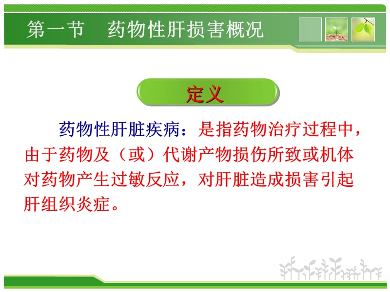 不良反应与肝损伤医学PPT_第3页