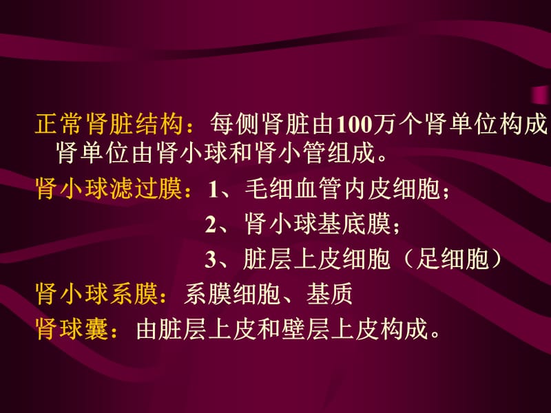 病理学泌尿系统疾病医学PPT_第2页