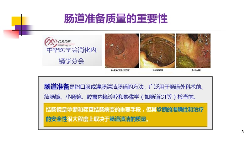 肠道准备在肠道精细检查中的重要意义医学PPT_第3页