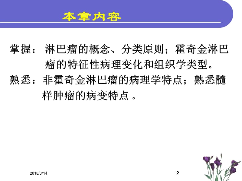 病理学淋巴造血系统疾病医学PPT_第2页