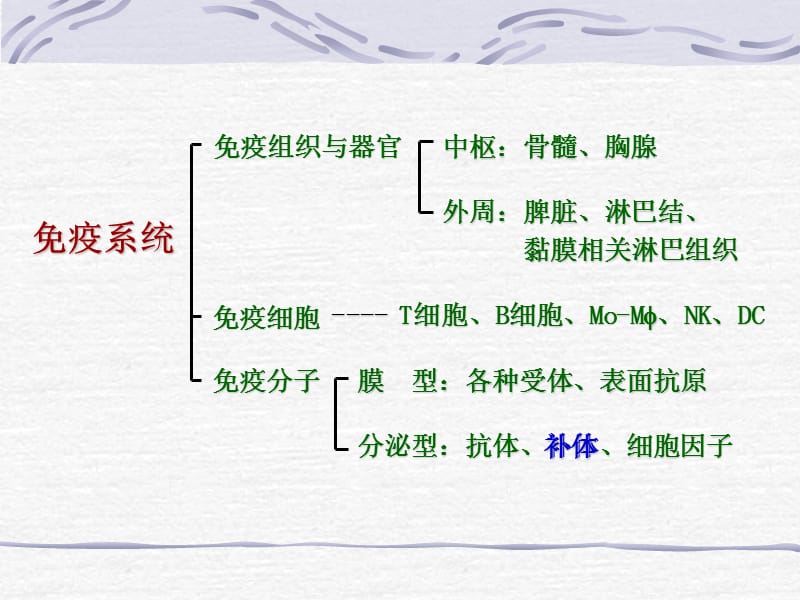 补体系统ppt课件_第1页