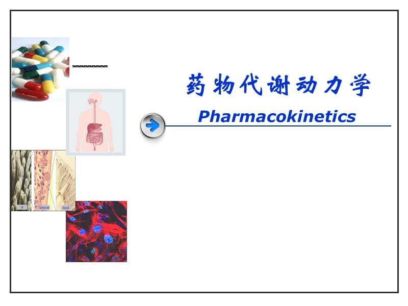 I相II相代谢医学PPT_第1页