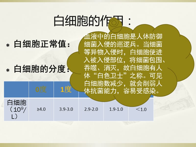 白细胞低注意事项PPT课件_第2页