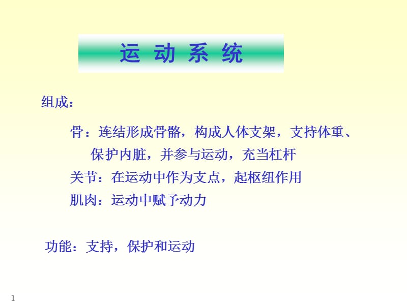 chapter01骨学PPT课件_第1页