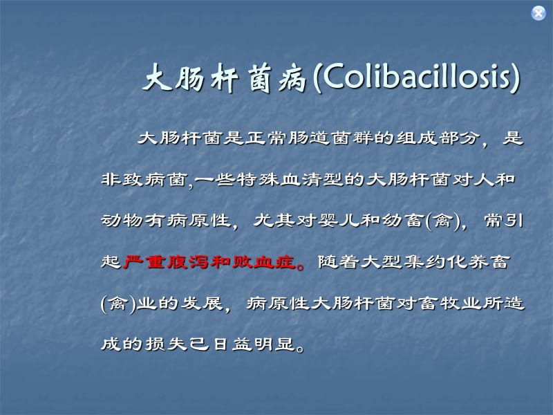 大肠杆菌病医学PPT_第1页