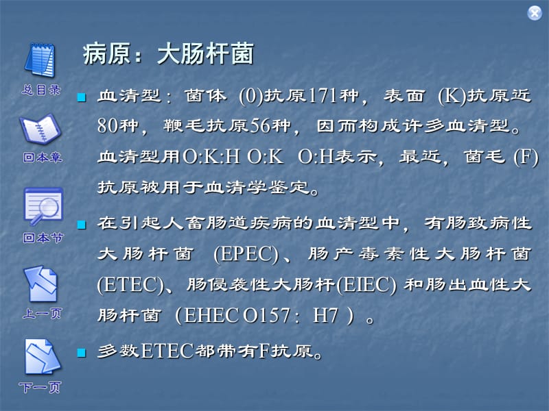 大肠杆菌病医学PPT_第2页