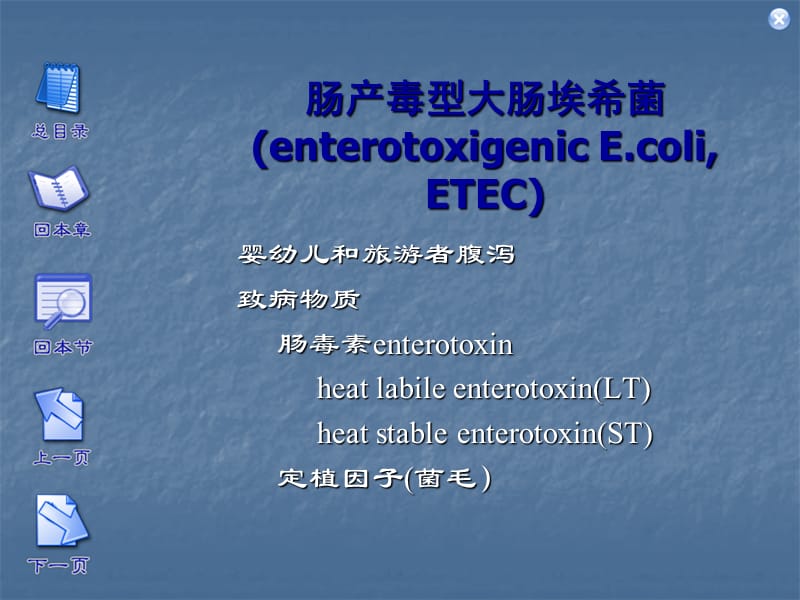 大肠杆菌病医学PPT_第3页