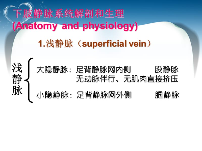 大隐静脉曲张护理查房医学PPT_第2页