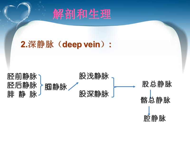 大隐静脉曲张护理查房医学PPT_第3页