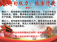 高中政治政府的權(quán)力：依法行使黨課ppt